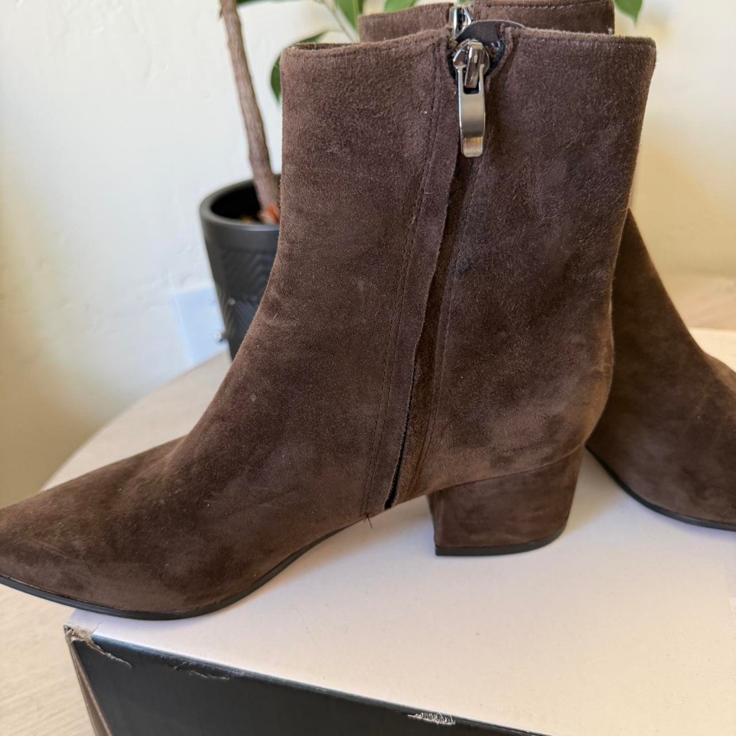Chocolate brown suede ankle boots by Nine West