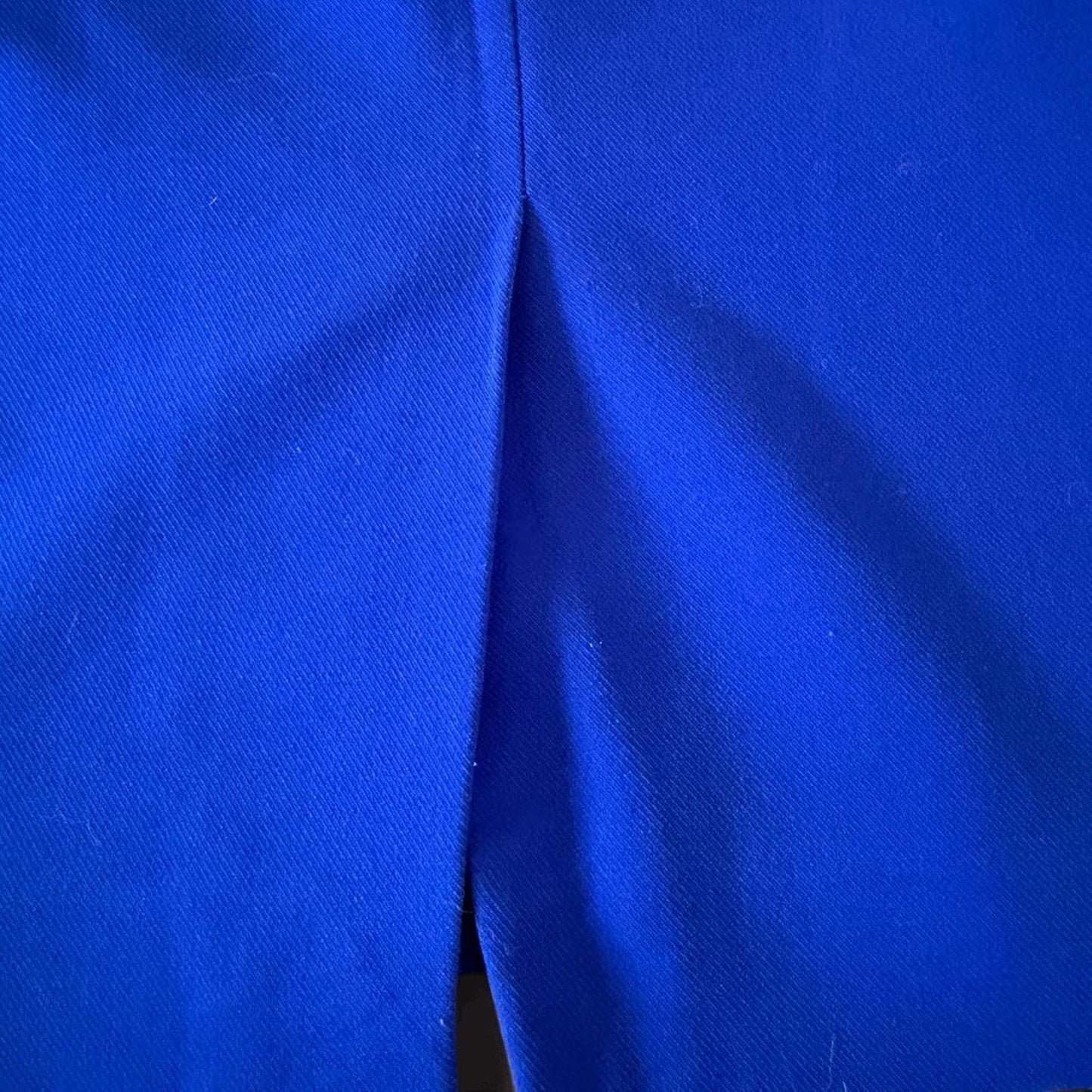 Vintage the limited blue skirt