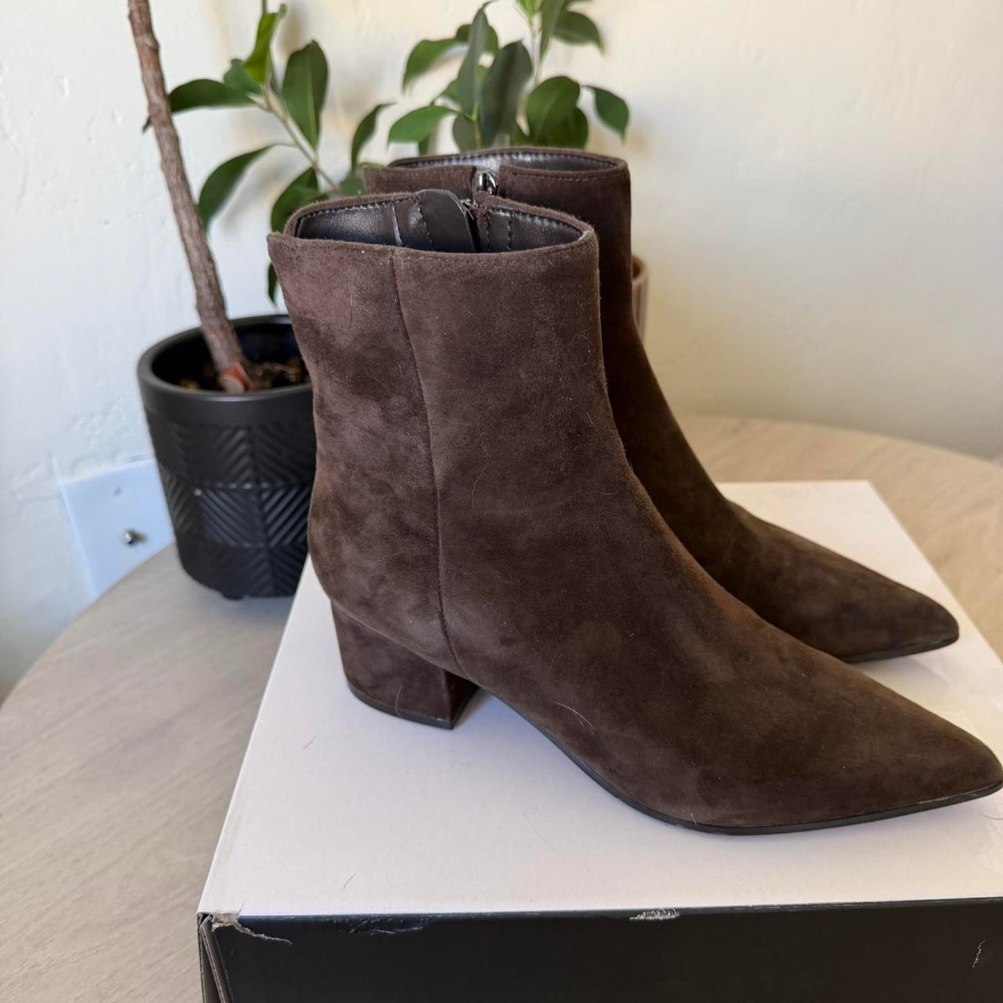 Chocolate brown suede ankle boots by Nine West