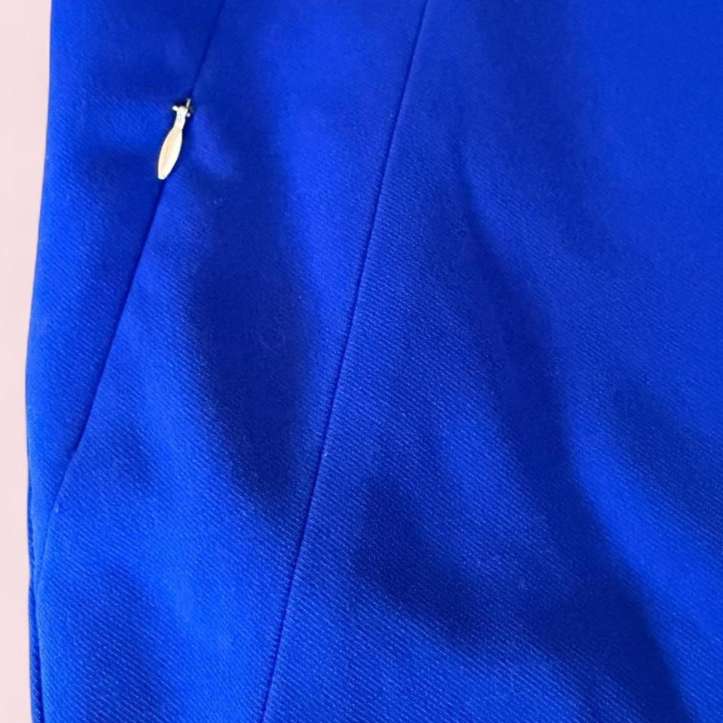Vintage the limited blue skirt